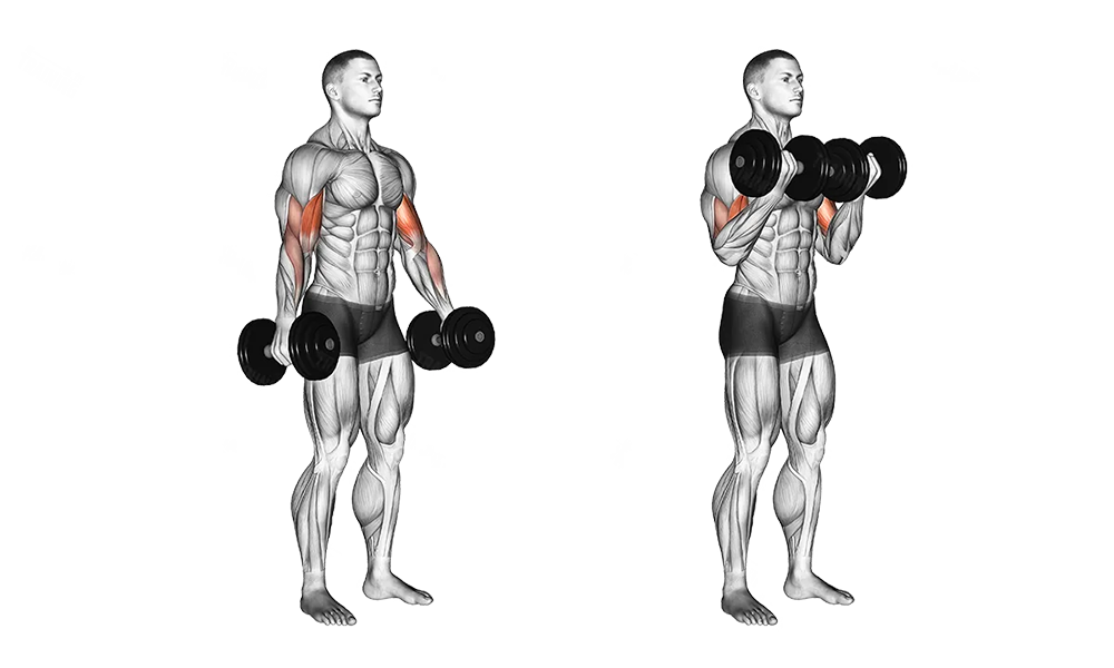 รูปภาพตัวอย่าง